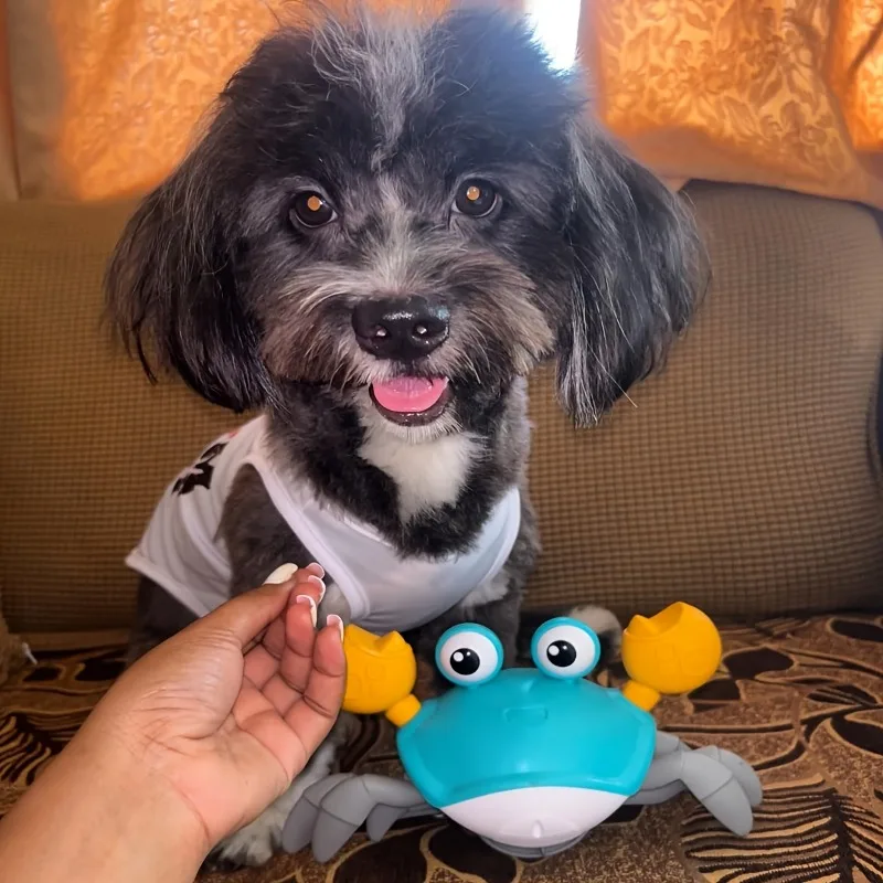 Juguete de detección eléctrica, cangrejo realista para gatear, evitación automática, velocidad de volumen ajustable, Material ABS, carga USB, verde, naranja