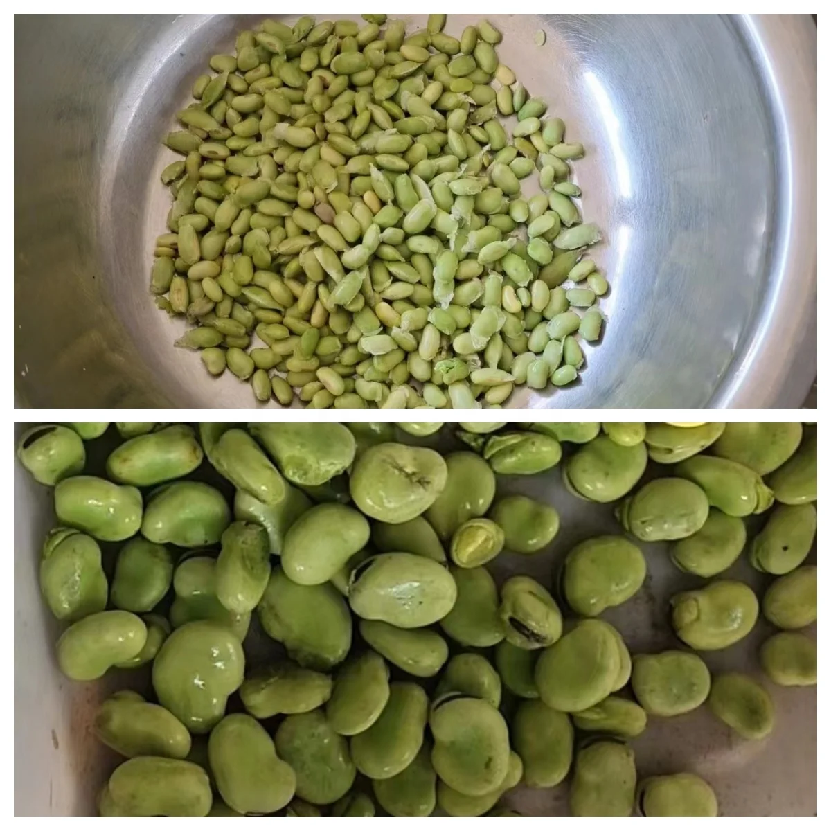 آلة قصف Edamame الطازجة آلة تقشير البازلاء الخضراء آلة تقشير وقصف صغيرة #5