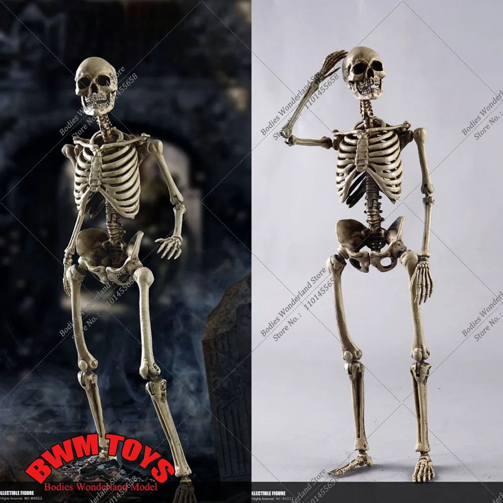 

In Stock COOMODEL NO.BS011 1/6 Scale Collectible THE HUMAN SKELETON DIECAST ALLOY Super Movable Full Set Action Figure Model