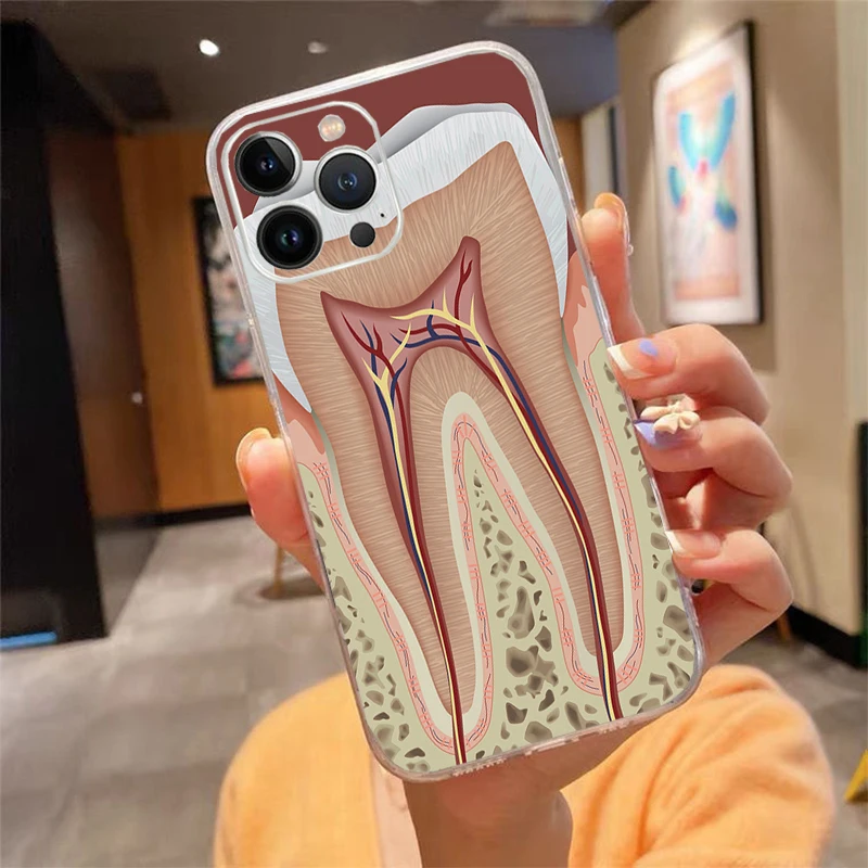 Phone Case For iPhone 16 15 14 Pro Max 16 15 14 13 12 11 Pro 16 15 14 Plus SE Tooth Dentist Dental Case Funda Capa Cell