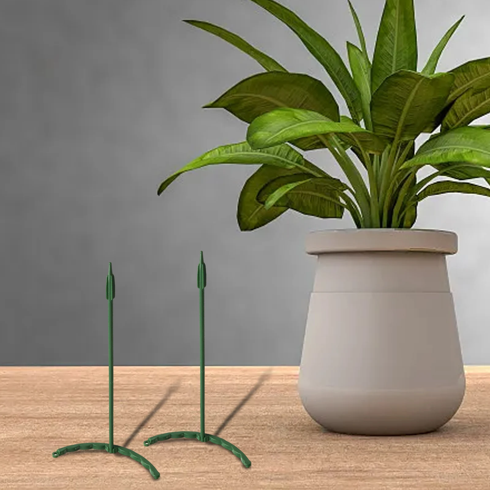 Specifications Border As The Picture Plant Support Piles Design Sturdy Sturdy Plastic Stakes Wide Applications PCS