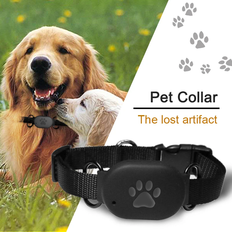 

Accurate Tracking Waterproof Ip67 Dog Tracking Device Small Gps Pet tracker