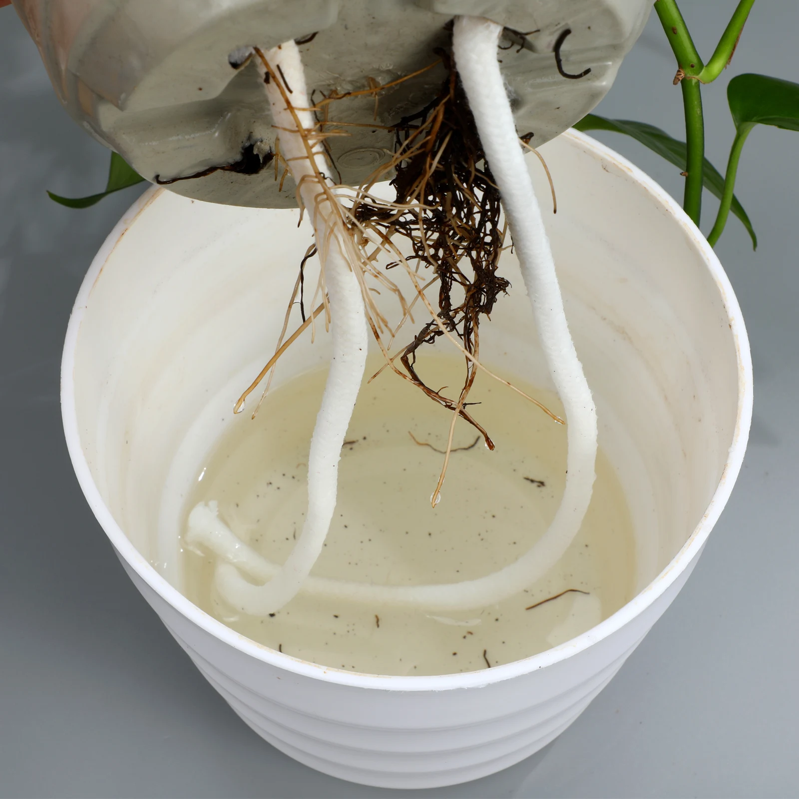 

Automatic Watering Cotton Rope Planter Wick Hydroponics Supplies Potted Plant Absorbent Rope Durable Use Cut Needed Flower Pot
