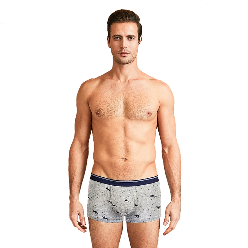 4pcs Men\'s Panties Sexy Shorts Cotton Underwear Male Breathable Boxers Solid Boxershorts Brand Underpants