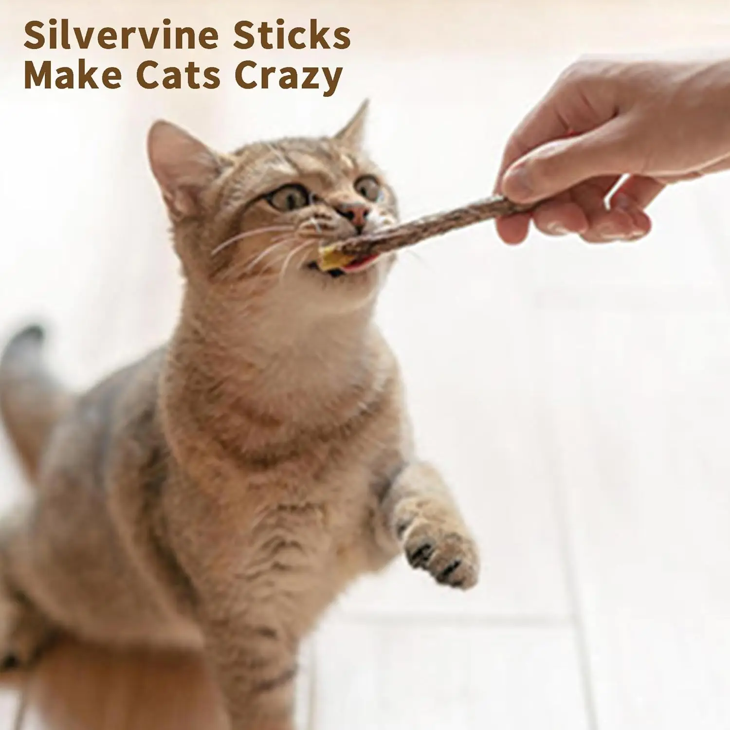 Natural Sticks for Cats 2