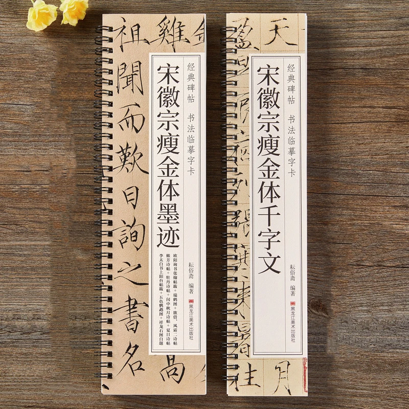 Special Chinese Calligraphy Practice Copybooks Thin Gold Body Regular Script Brush Pen Chinese Character Tracing Books Beginners