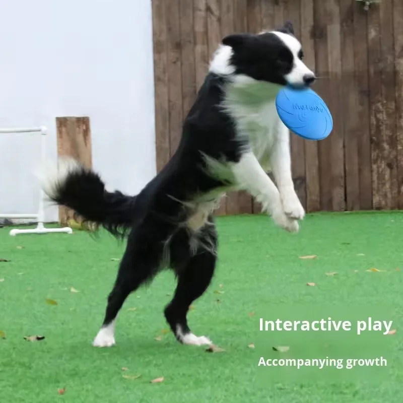 Thumbnail 3 - #27 Trending Dog Fetch Toys Right Now