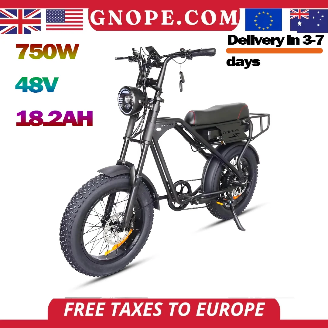 

T3PRO Electric Bicycle for Adults, 20 in Tyre, 750W, 48V, 18.2Ah Li-ion Battery, Mountain and Snow Motorcycles 45KM/H E-Bike