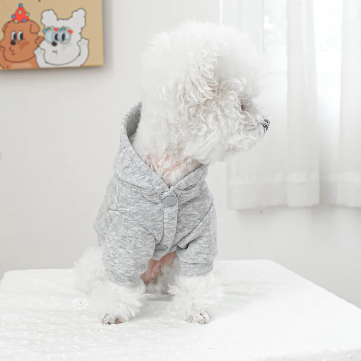 1PC Pet Clothing Spring and Autumn Velvet Grey Hat Bow Pocket Coat Suitable for Small and Medium sized Dogs