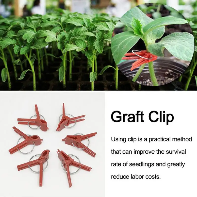 50PCS Plants Graft Clips Flat/round Mouth Plastic Clips Garden Tools For Cucumber Eggplant  Grafting Clips