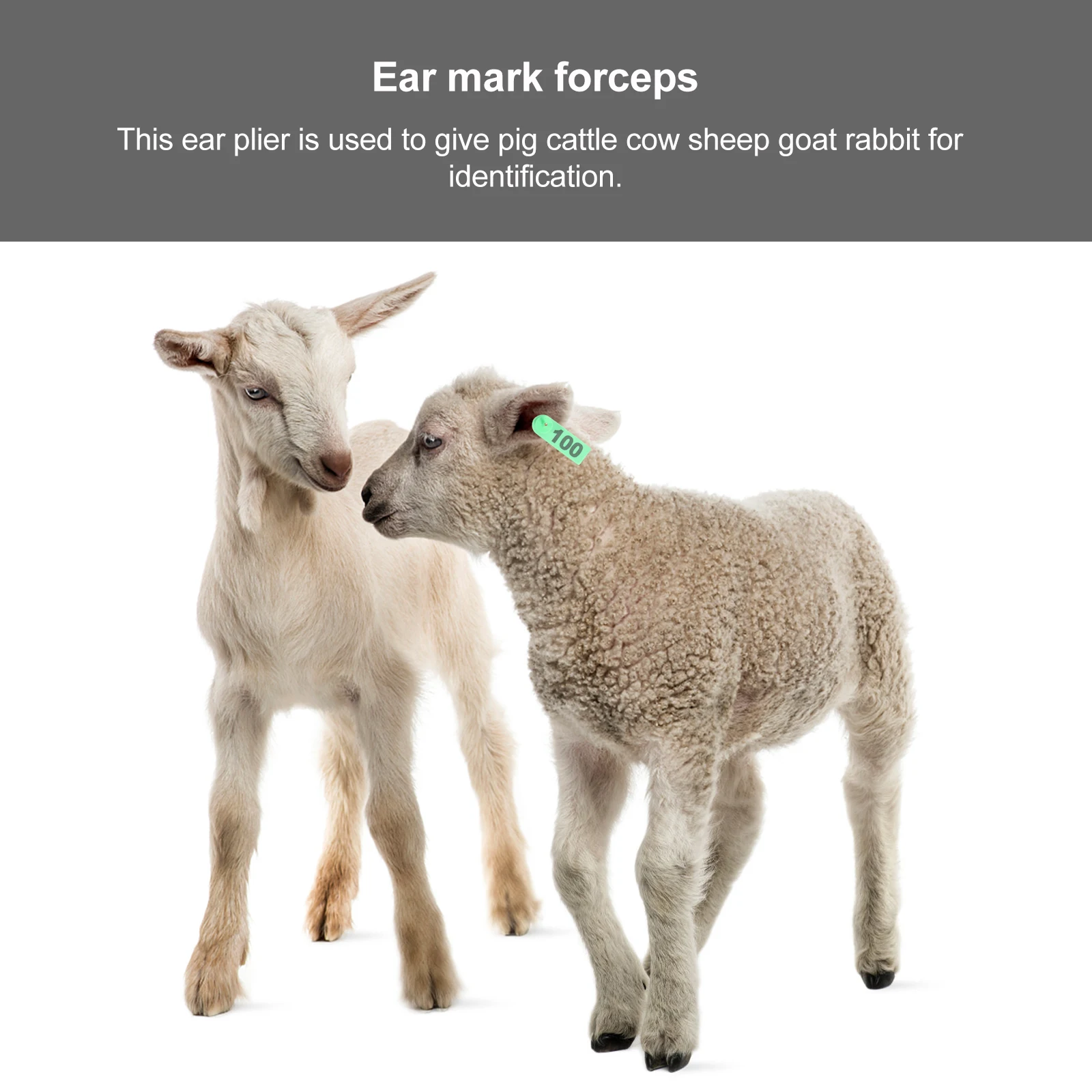 

103pcs Plastic Number Livestock Tag Animal Ear Tag Pin Ear Tagging Pliers Comfort Handle Lightweight Durable For Pig