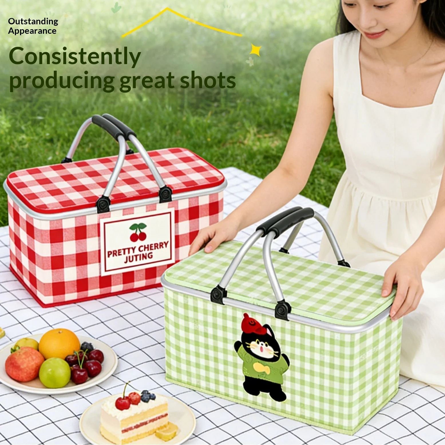 Insulated Picnic Cooler Tote 3