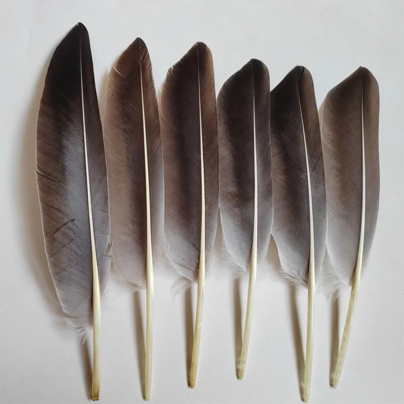 Feathers decoration! Veren! 100Pcs/lot! 22-28cm long Natural Goose Quill feathers,Loose Quality Goose Wing Feathers
