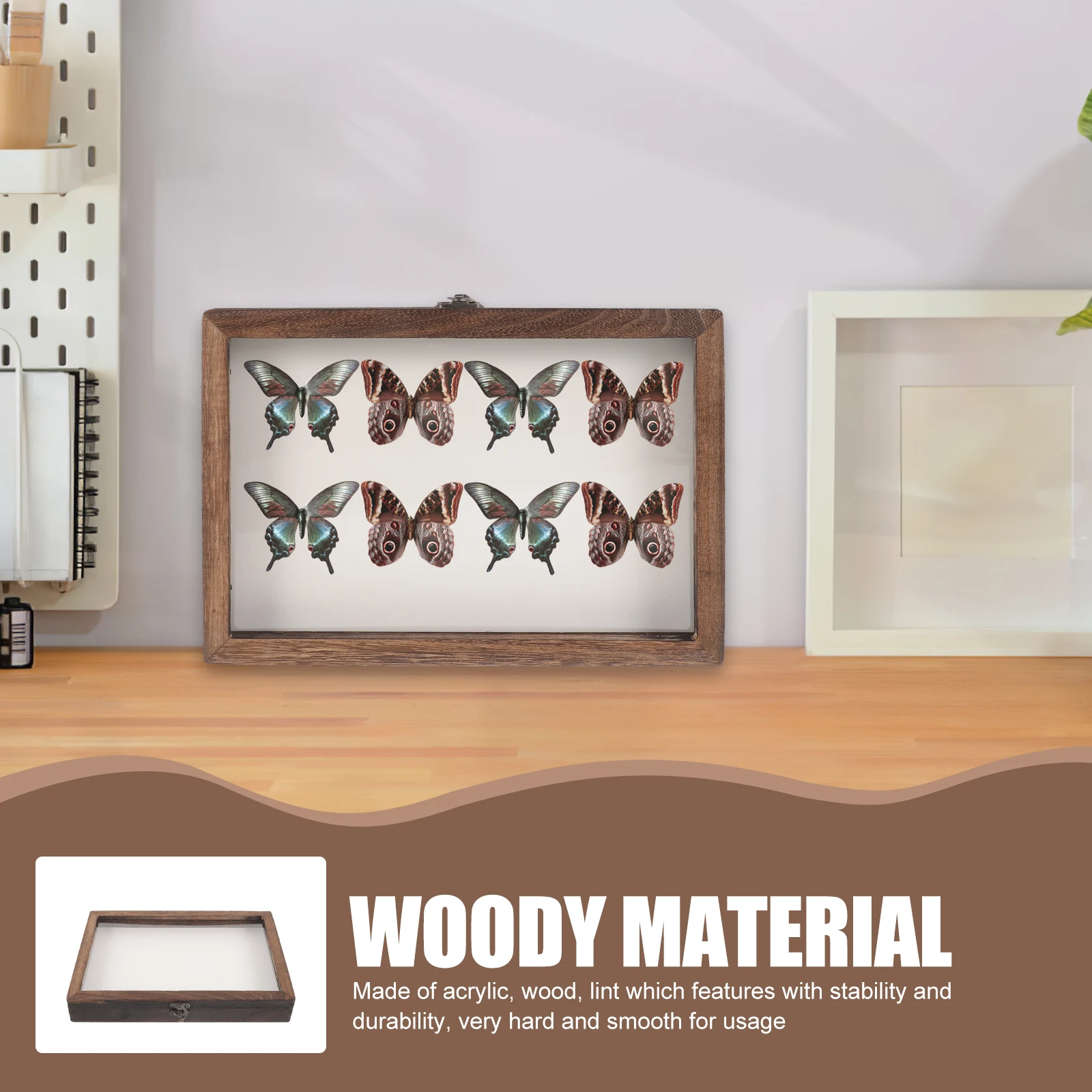 1 Set of Insect Display Case Specimen Vintage Box Frame Container Butterflies Display Boxes Insect Case Holder Wooden Storage