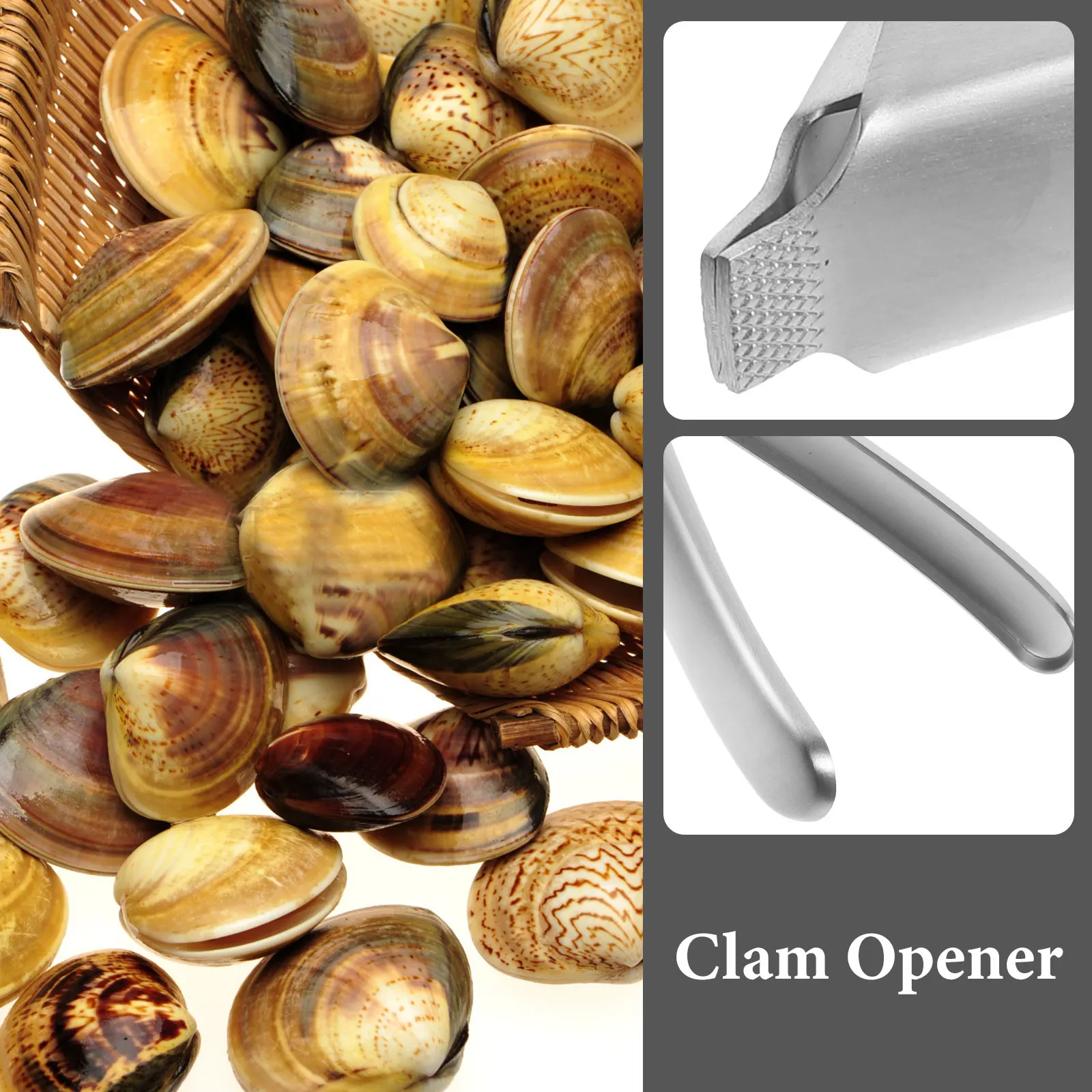 

1Pcs Clam Opener Stainless Steel Rustproof Shellfish Tool Non-Slip Texture Handle Automatic Return Oyster Shucker