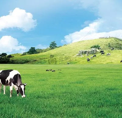 

12 В 300 Ач LiFePO4 Батарея BMS Литиевые аккумуляторы 6000 циклов для кемперов RV 12,8 В Гольф-кар Внедорожный внедорожный солнечный ветер