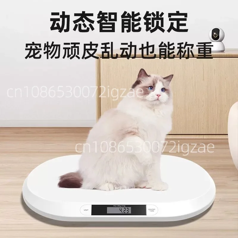 Small white scale pet special scale large weigher