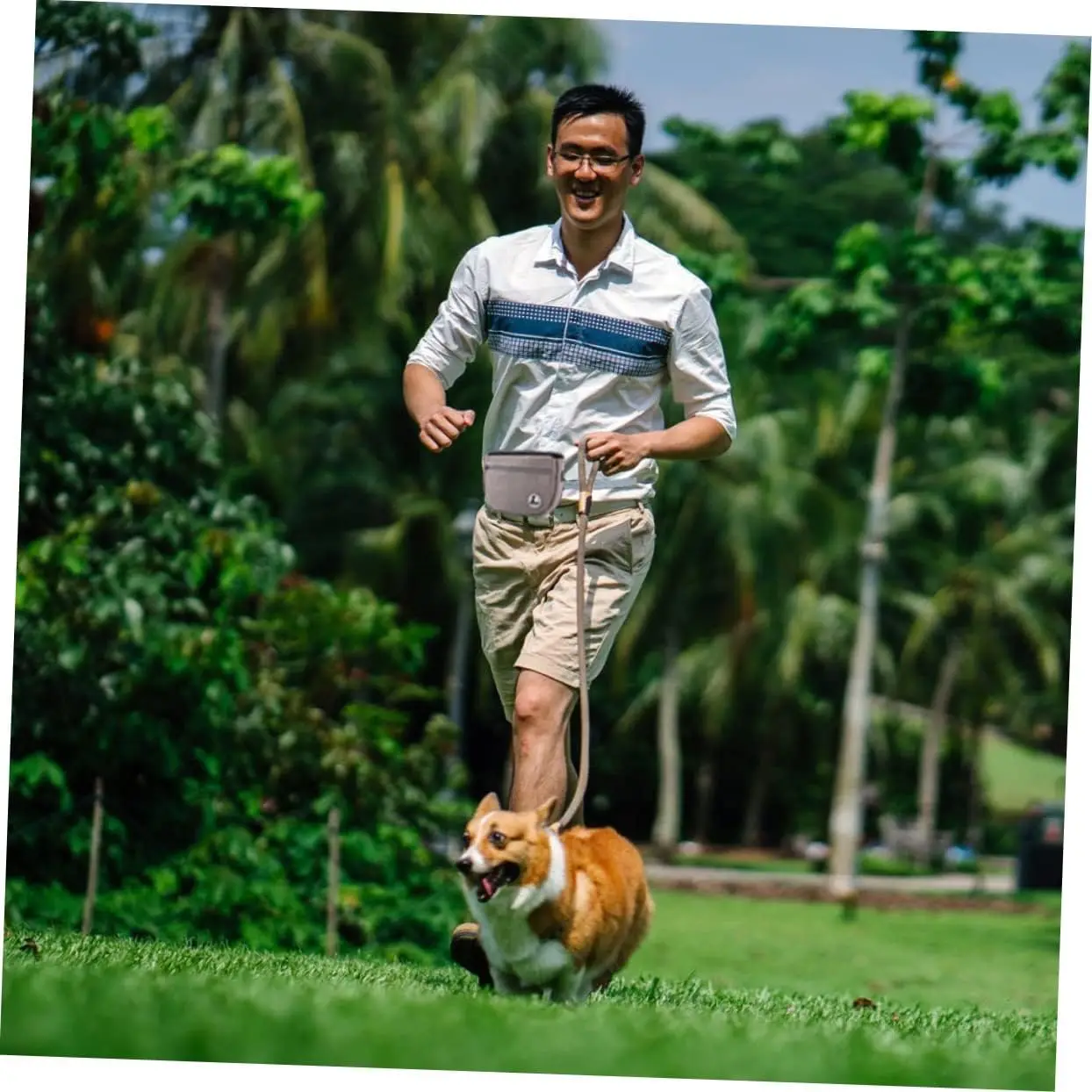 Dog Training Waist Bag Portable Food Bag Outdoor Feeder for Dog Training Walking Feeding Snack Bag Supplies Oxford Cloth