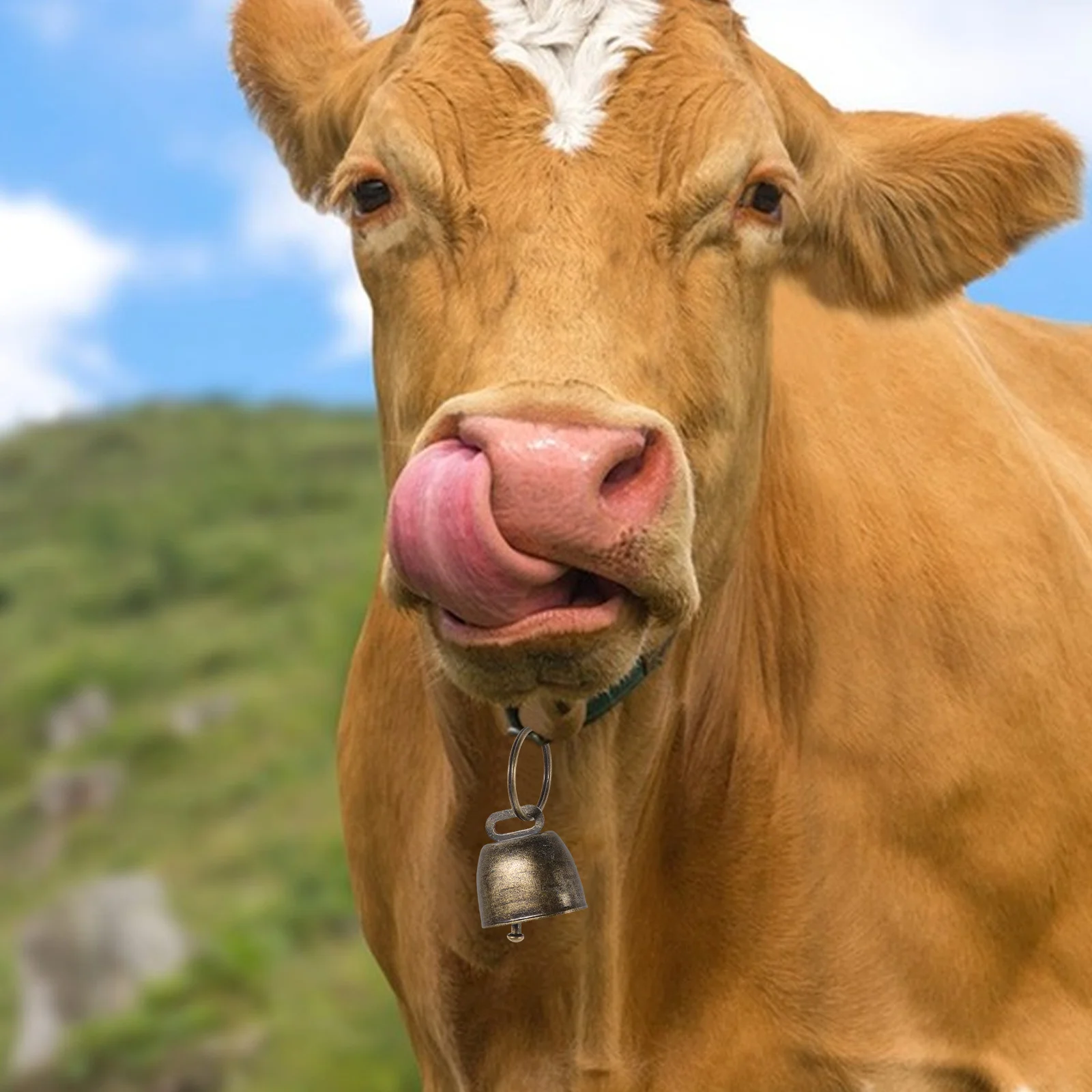 10 قطعة أجراس البقرة المعدنية: حديد عتيق محمول باليد لحديقة الدقات زينة عيد الميلاد حفلة التشجيع رعي الحيوانات