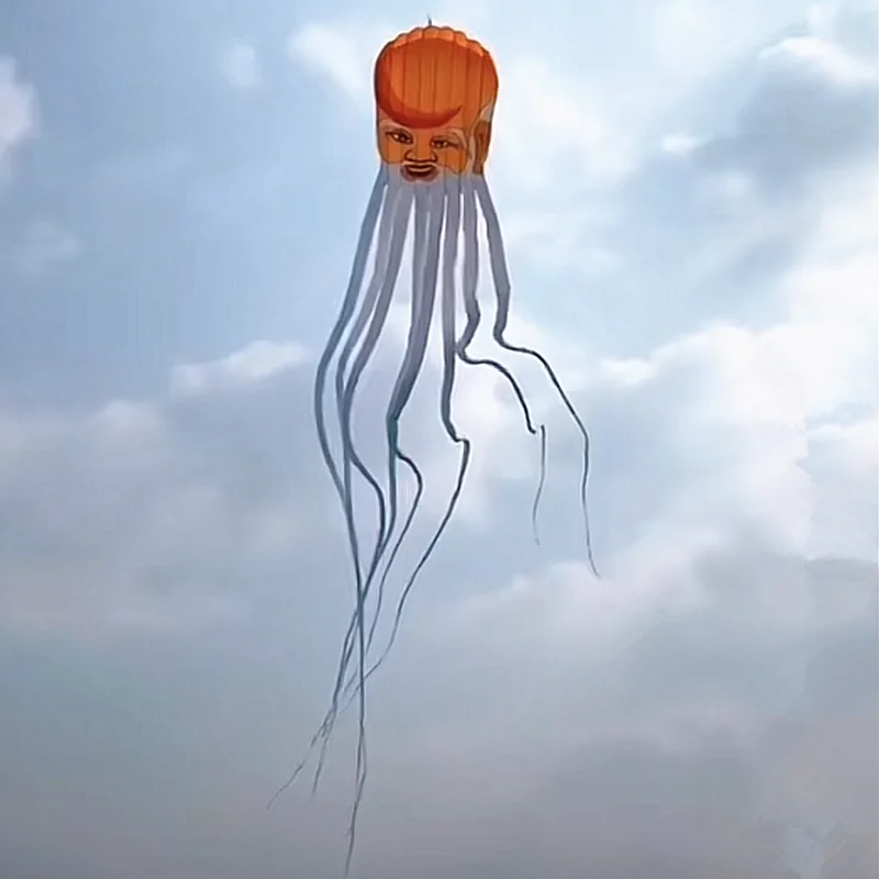 طائرة ورقية صينية تقليدية طويلة العمر طائرة ورقية على شكل الأخطبوط طائرة ورقية احترافية للطيران المظلي Papalote توجيه طائرة ورقية drachen vlieger