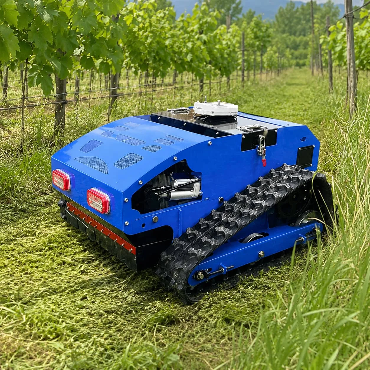 High Quality All in One Remote Lawn Mower Mulch Bag Vacuum Dump Battery Customized 75 Slope for Large Estate Grass Management