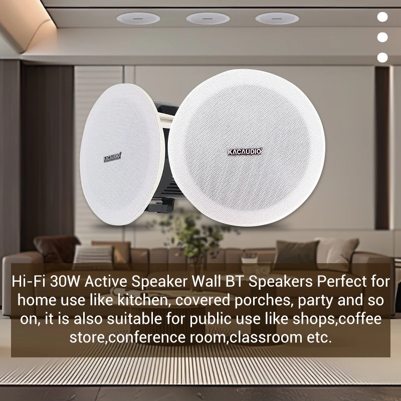 8 Ohms BT Ceiling Mounted Lithe Speakers