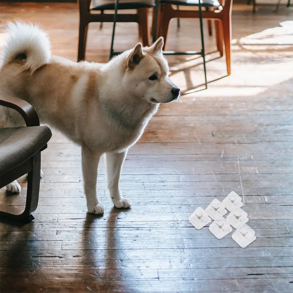 

8pcs Transparent Dog Pee Pad Holder Wall Mount Durable Nonslip Base Puppy Training Pet Lifting Pads Floor Protection Cat Toilet