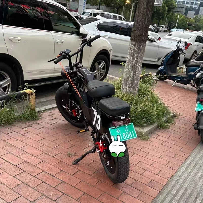 Adult transportation new national standard power-assisted electric bicycles can be licensed male and female battery cars