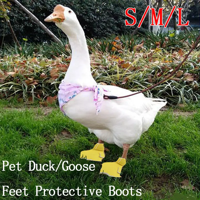 Pet Duck Boots Protect The Soles Creative Goose Kohl Duck Shoes Soles Non-slip Shoes Pet Grooming Accessories Pet products