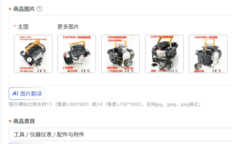 

YB60-1-110V AC Electric Fuel Transfer Pump