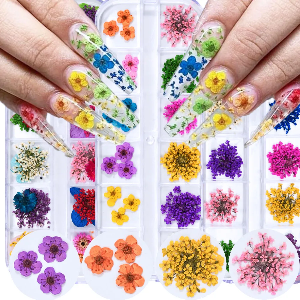 7/12Girds/Box Natur…