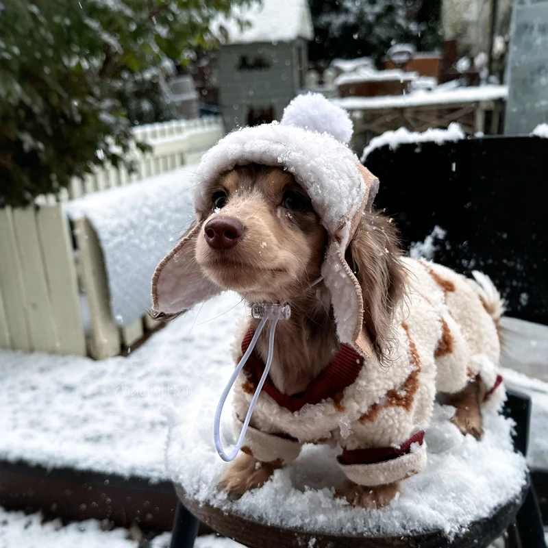 

Winter Thick Fleece Coat For Dachshund Luxury Windproof Warm Wiener Jacket with Hat Warm 4-Legged Badger Dog Cothes