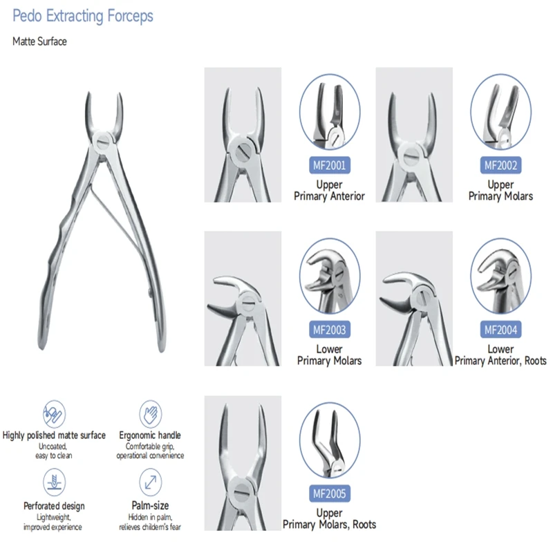 New Version High-Quality Dental Extraction Forceps For Children Suppliers