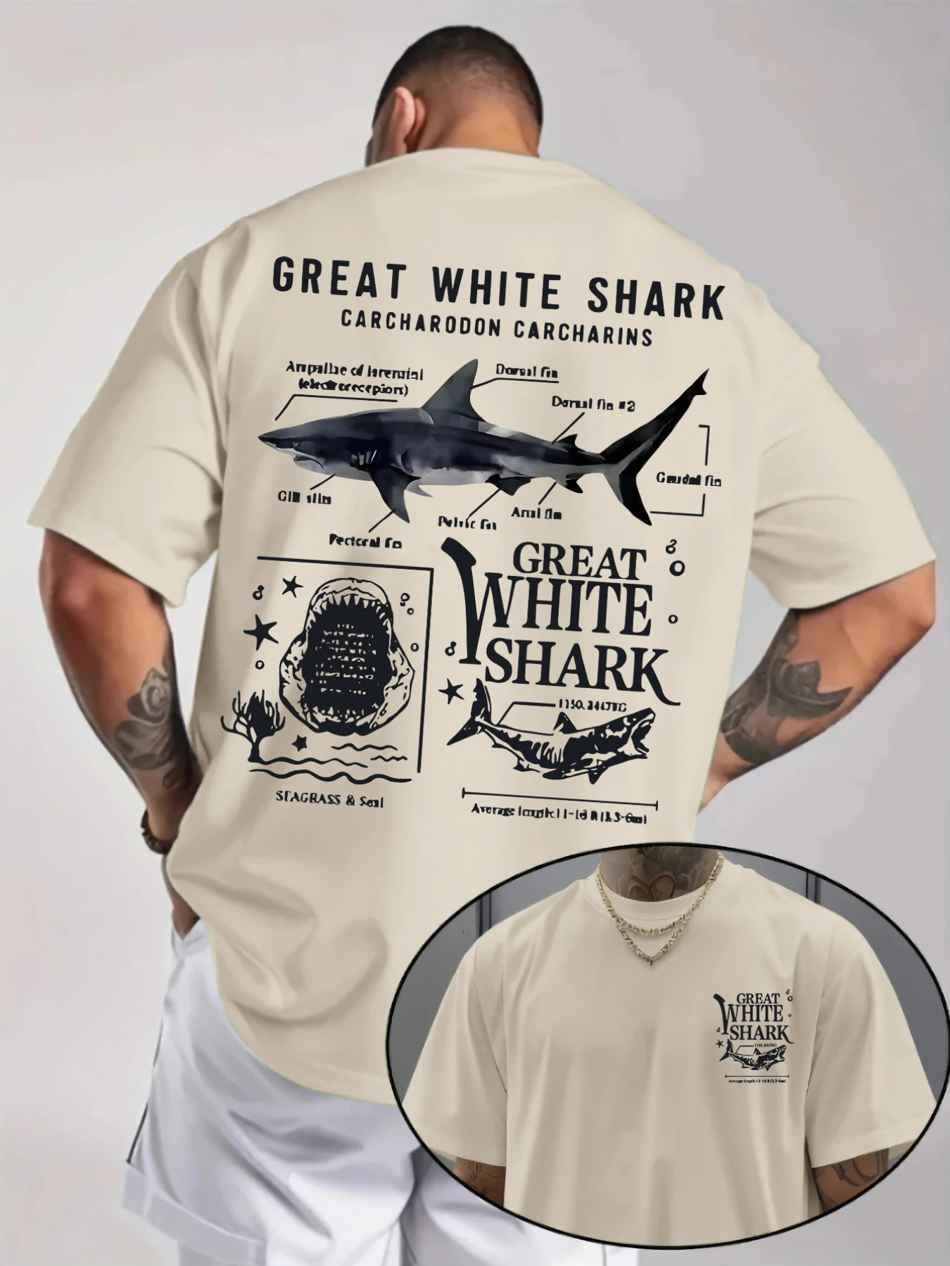 

Men's Casual Graphic T-Shirt - Great White Shark & Humorous Shark Facts Print, Light Beige Regular Fit Round Neck Tee, Machine
