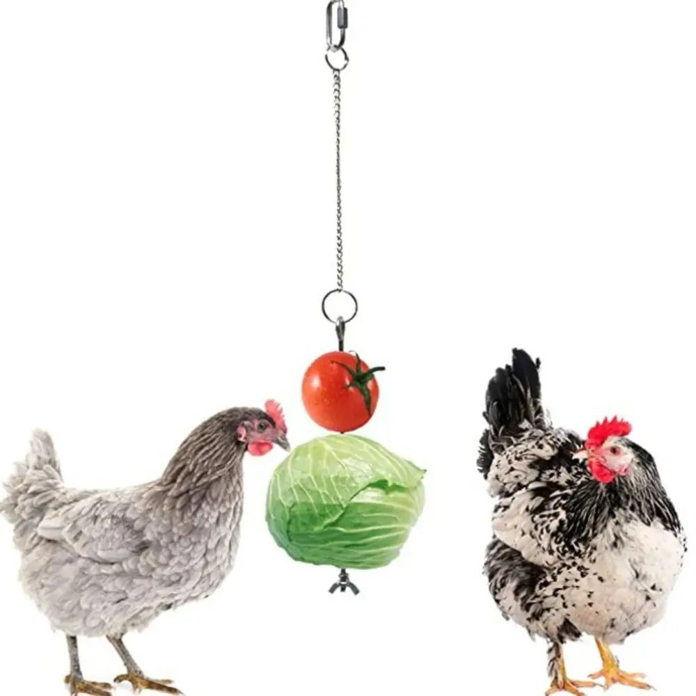 

Stainless Steel Chicken Veggies Skewer Adjustable Length Creative Bird Cage Food Holder Keep Clean Easy To Install