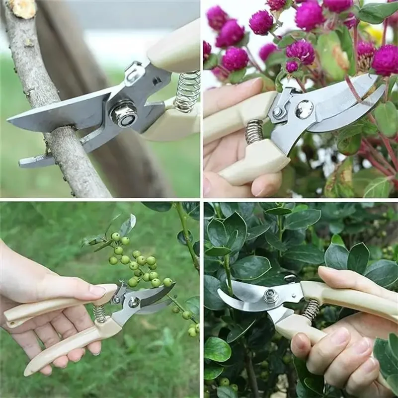 Stainless Steel Pruning Scisso - Gardening Tools To Cut Branches review and price