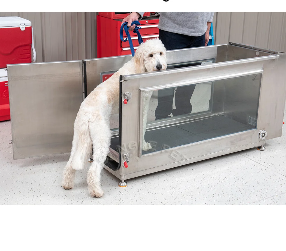 Pet Electric Hydro Treadmill Water Dog Treadmill Animal Rehabilitation Treadmill  Exercise Auxiliary Machine