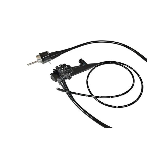 LTVE02A Distal Rigid Vet Video Gastroscope