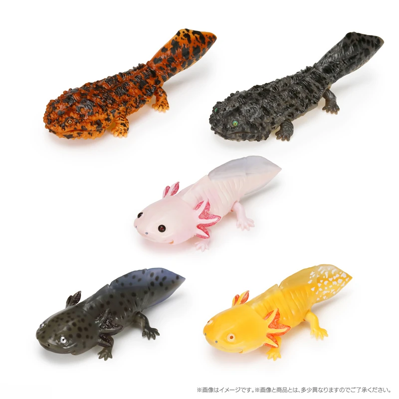 Cynops Orientalis Salamandrid Emulation Creature Model Collection Gashspon Capsule Toy Children Gifts