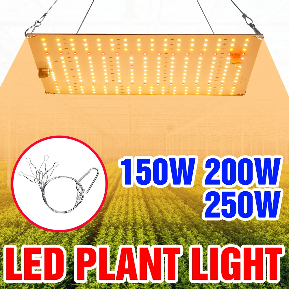

250W LED Growing Lights Full Spectrum Quantum Plate Lamp Greenhouse Flower Vegetables Flowers Fruit Plant Cultivation Lighting