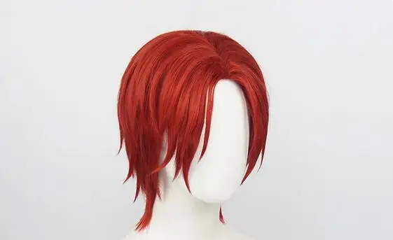 Parrucche Cosplay per capelli sintetici corti da fibra resistente al calore Anime + cappuccio per parrucca