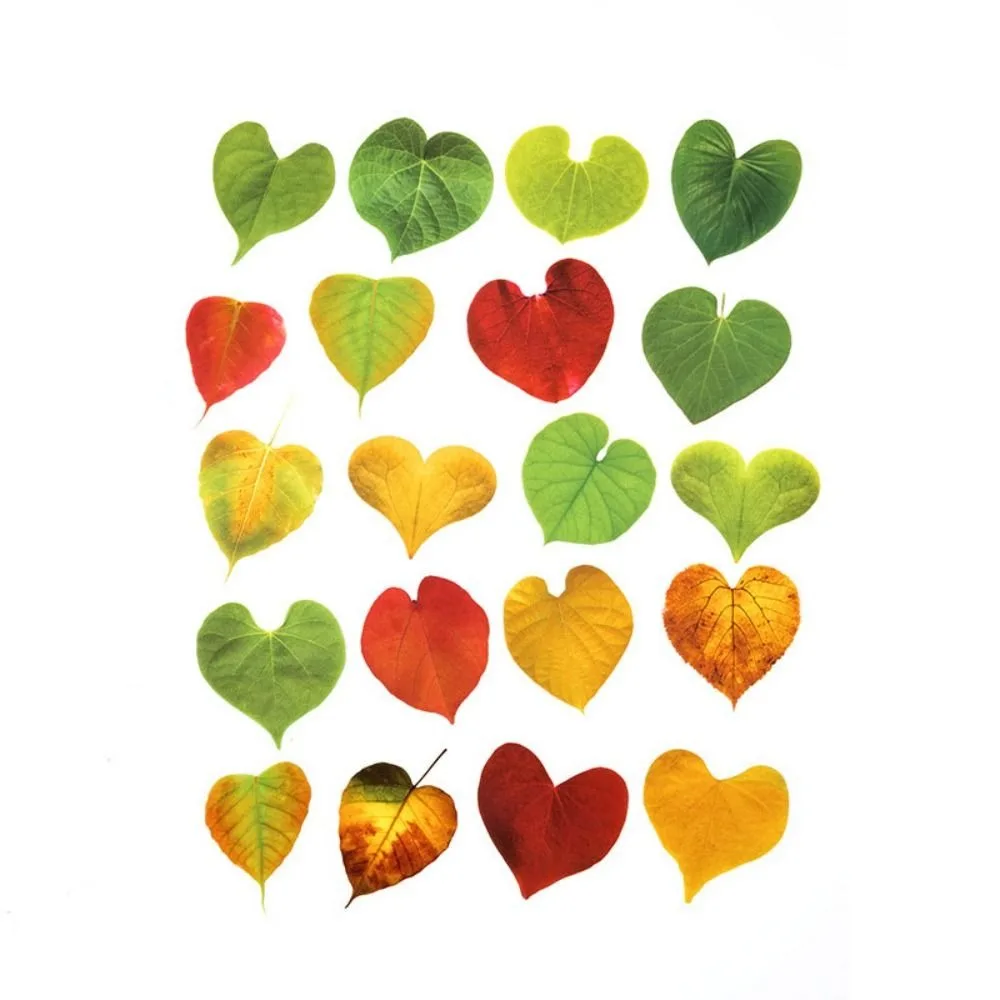 

40PCS Green Leaf Maple Leaves Leaf Stickers Plant Nature Scrapbook Stickers DIY PET Diary Stickers Album Journal