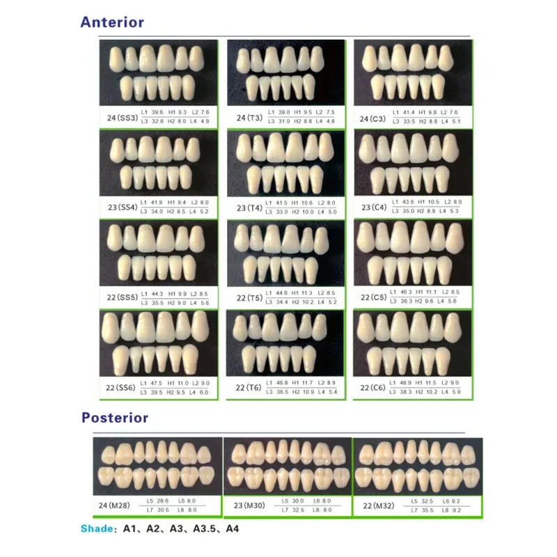 28*1 Dental Synthetic Resin Teeth 4 Layers Full Set Preformed Dentures BAO YING A2 A3 Anterior Posterior Dentistry Material