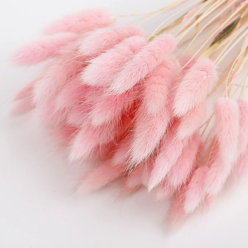 50pcs Dry Flowers Bouquet Colorful Rabbit Tail Grass Dried Flowers DIY Home Wedding Garden Decoration Party Supplies