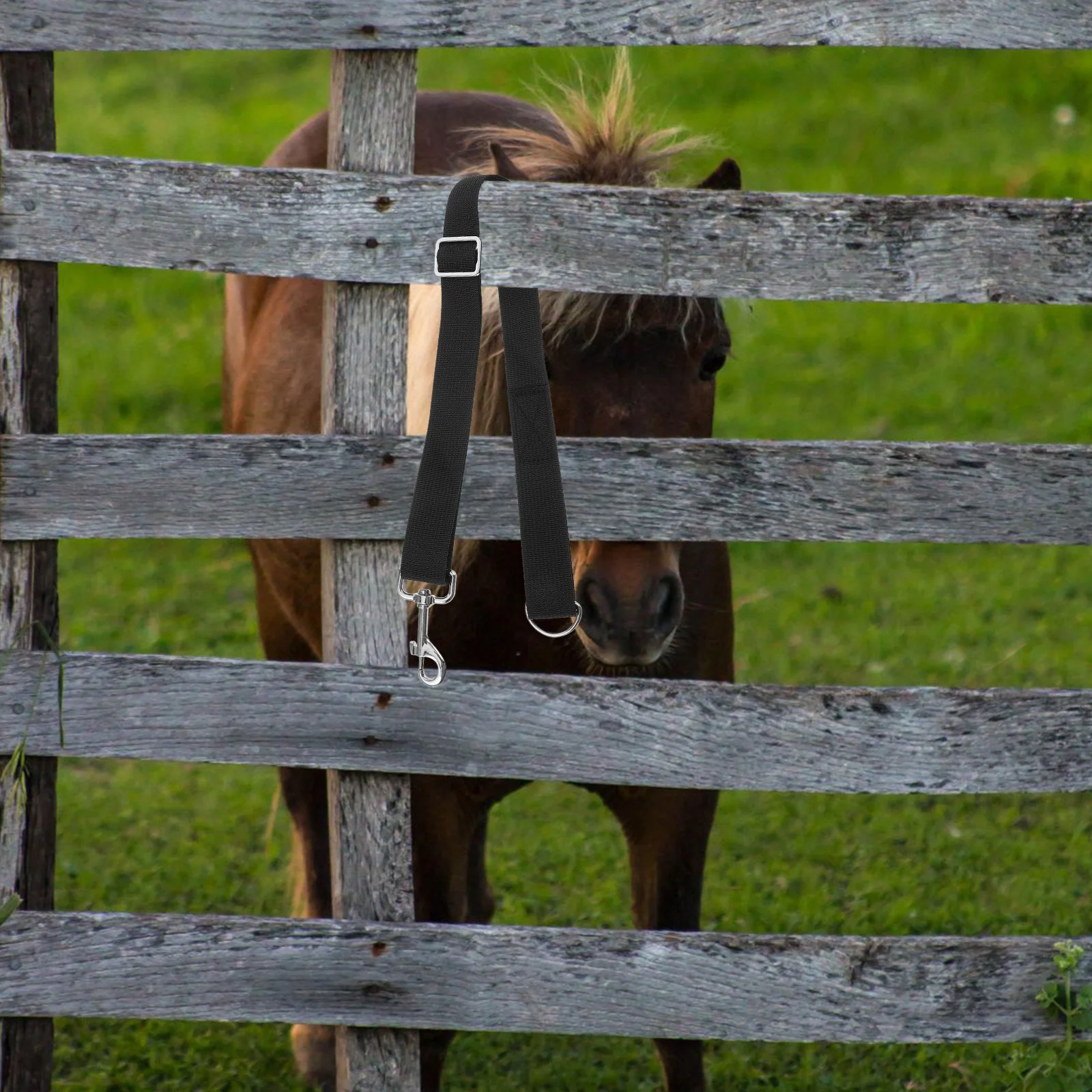 สายรัดถังน้ำม้า 3 ชิ้น ปรับได้ ทำจากไนลอน สำหรับแขวนถังอาหารและน้ำ ใช้ในคอกม้า โรงม้า อุปกรณ์ทดแทนได้