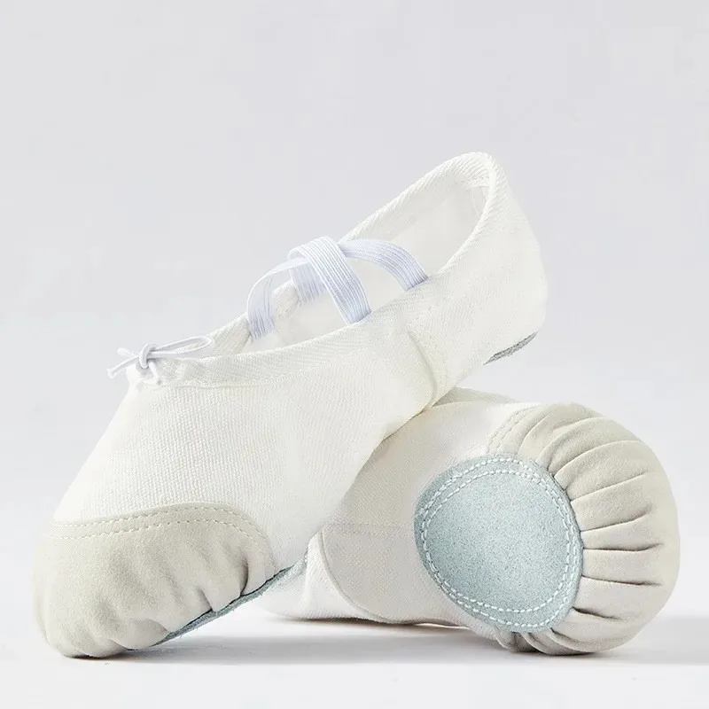 Ballet Dance Shoes Canvas Cat Claw No Tie Design Soft Sole Training Sneakers for Kids Adult Dance Daily Practice Casual Footwear