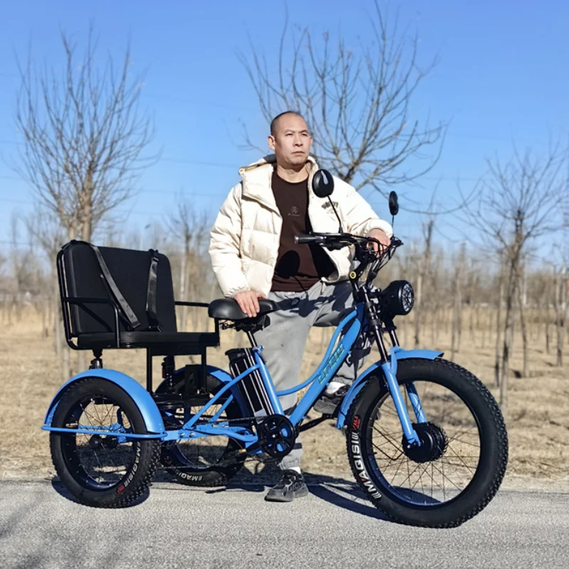 Fat Tire Electric Bike Cargo 3 Wheel Adults 2 Seater Powerful Electric  Tricycle With Passengers Adult Elderly Pick Up Children - AliExpress  201355758