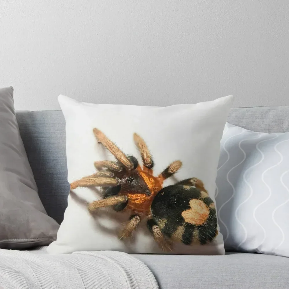 Cyriocosmus Elegans Tarantula Throw Pillow Bed pillowcases Ornamental Pillow Cushions For Children bed pillows pillow