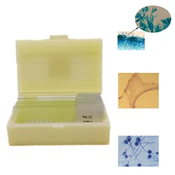 12Pcs Teaching Fungi Prepared Microscope Slides