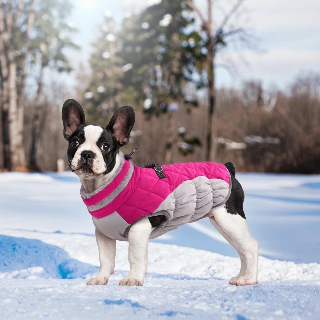 

Eco-friendly 100% Polyester Breathable Waterproof Windproof Reflective Fashion Sport Dog Winter Coat Zipper Small Dogs Cats Pink